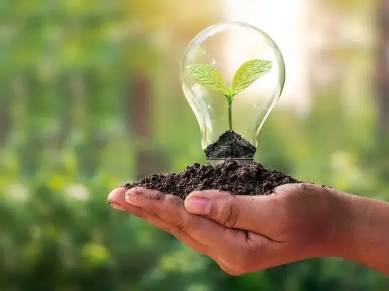 Energía Energía