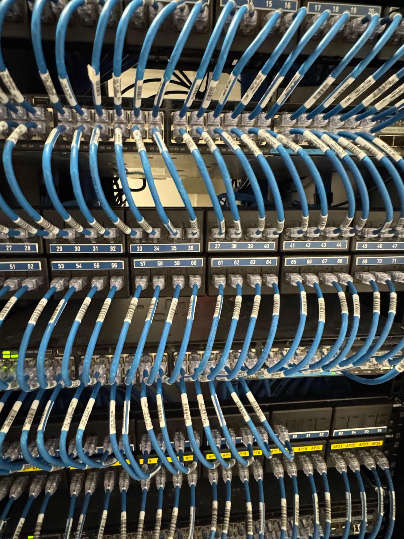 Patch panels del rack con los puertos numerados y los patch cords azules rotulados uno a uno