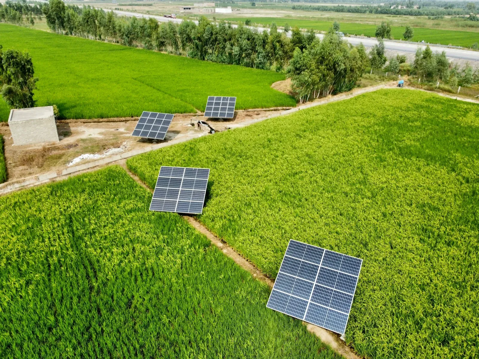 Paneles solares en un proyecto eléctrico
